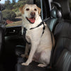 SM / MED - Cruising Companion Car Harness