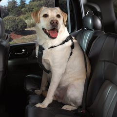 X-SMALL -Cruising Companion Car Harness